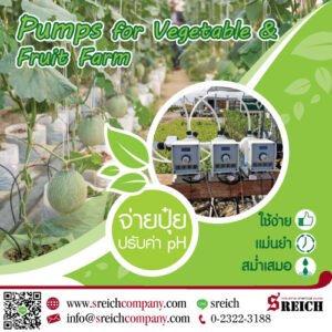ปั๊มโดส ตัวช่วยเกษตรกรผู้ปลูกสตรอว์เบอร์รี่ในเรื่องการใส่ปุ๋ย