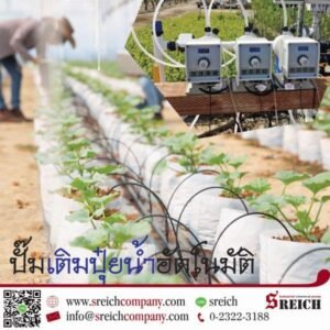 ลดสารไนเตรทในพืชไฮโดรโปนิกส์ ด้วยฟีดปั๊มความแม่นยำสูง